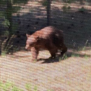 Meet your Posher, Trevor